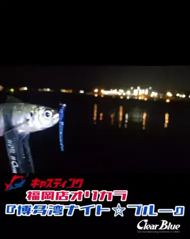 SHIBATARのTikTok投稿