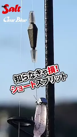 SHIBATARのTikTok投稿