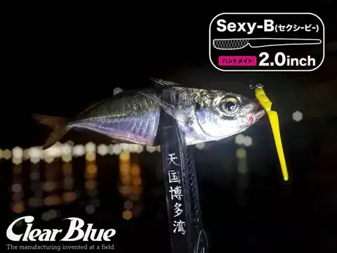 SHIBATARのTikTok投稿