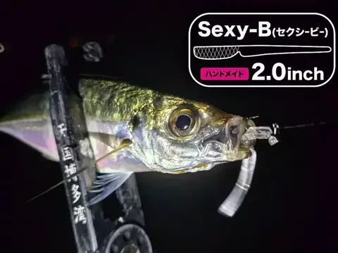 SHIBATARのTikTok投稿