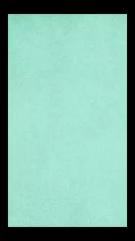 アリエククーポンの四葉のTikTok投稿
