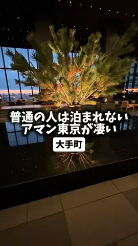 日本グルメのTikTok投稿