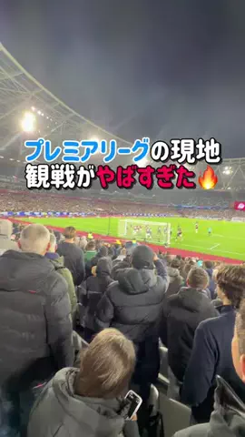 Louisの自由研究のTikTok投稿