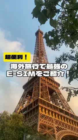 Louisの自由研究のTikTok投稿