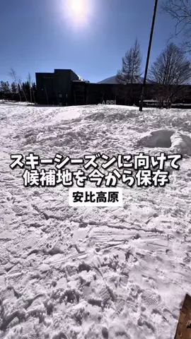 日本グルメのTikTok投稿