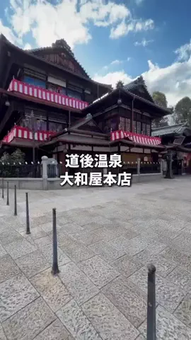 日本グルメのTikTok投稿