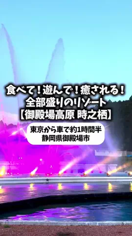 日本グルメのTikTok投稿