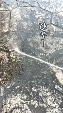 みっちゃんのTikTok投稿