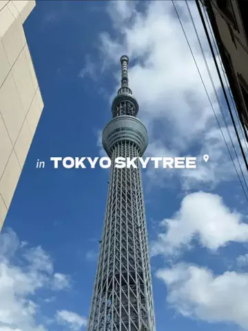 しずくのTikTok投稿