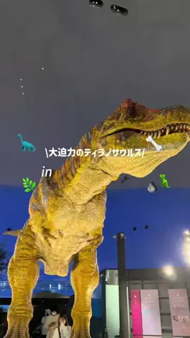 しずくのTikTok投稿