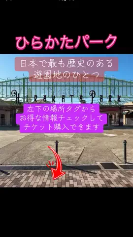 Skydaruma(ダルちゃん)のTikTok投稿