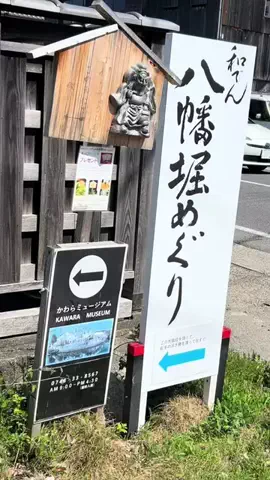 Skydaruma(ダルちゃん)のTikTok投稿