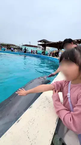 あゆ|愛知子連れお出かけのTikTok投稿