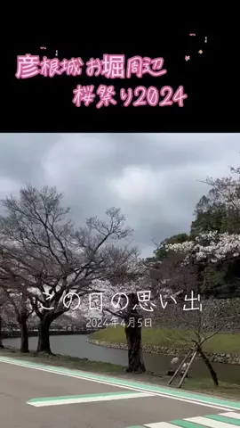 Skydaruma(ダルちゃん)のTikTok投稿