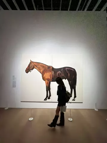 はずきのTikTok投稿