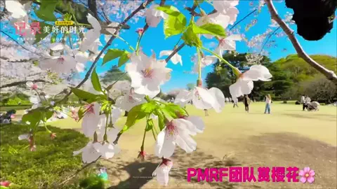 薫のTikTok投稿