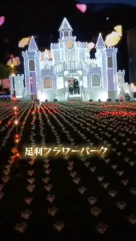 ななののTikTok投稿
