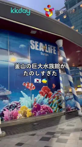 れいなの韓国情報🇰🇷のTikTok投稿