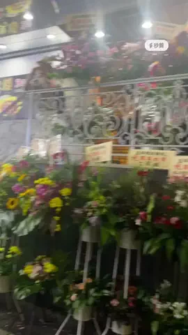 薫のTikTok投稿