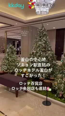 れいなの韓国情報🇰🇷のTikTok投稿