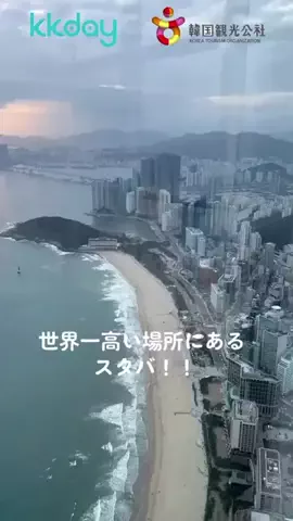 れいなの韓国情報🇰🇷のTikTok投稿