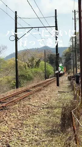 tabidaisuki.comのTikTok投稿