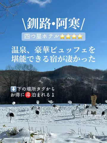 みおの十勝ごはんのTikTok投稿