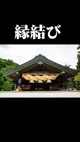 tabidaisuki.comのTikTok投稿