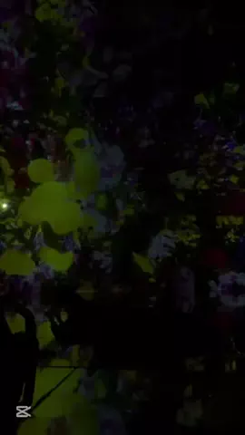 tabidaisuki.comのTikTok投稿