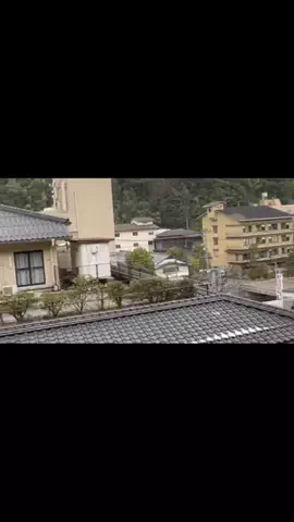 tabidaisuki.comのTikTok投稿