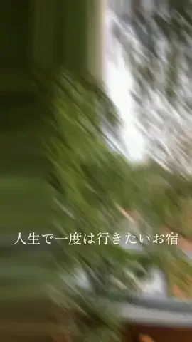 tabidaisuki.comのTikTok投稿