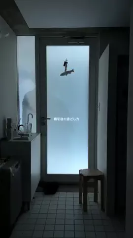 kyoheiのTikTok投稿