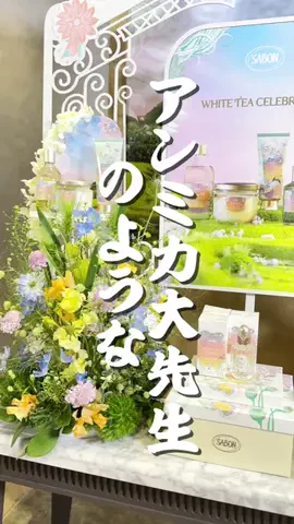 わた🩰可愛い追求ちゃんのTikTok投稿