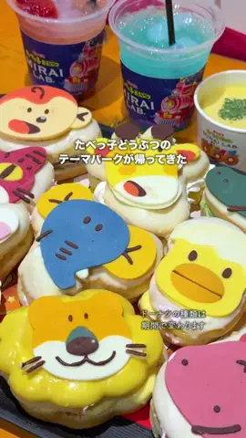 くぼたび｜旅に生きるアラサー夫婦のTikTok投稿