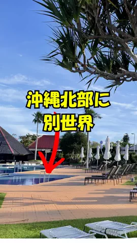 おっきー 🍍沖縄人のTikTok投稿