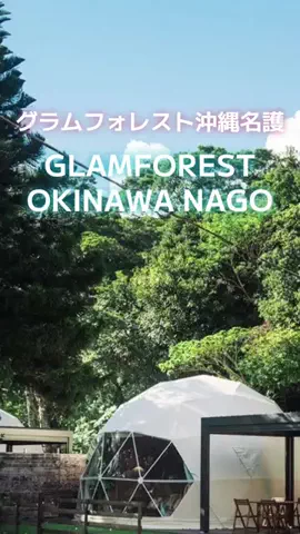 zuenmeiのTikTok投稿