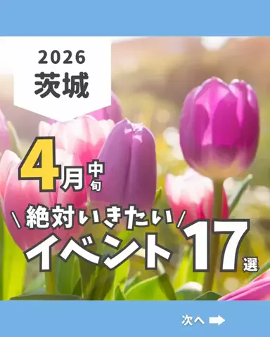 茨城ガイド📕あせこ【お出かけ・グルメ・観光・イベント】のTikTok投稿