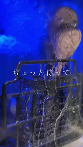 みーみち/三兄弟と便利な暮らしのTikTok投稿
