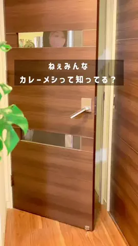 ししゃも｜ADHDズボラ家事のTikTok投稿