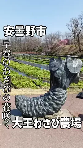 オヤジ飯🐱長野グルメ食べ歩きのTikTok投稿