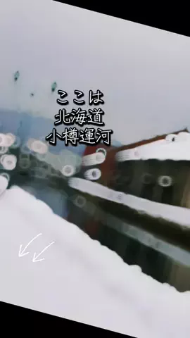 みーなりーなのTikTok投稿
