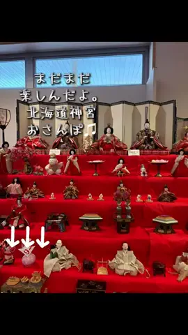 みーなりーなのTikTok投稿