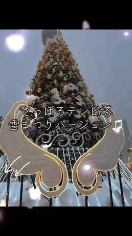 みーなりーなのTikTok投稿