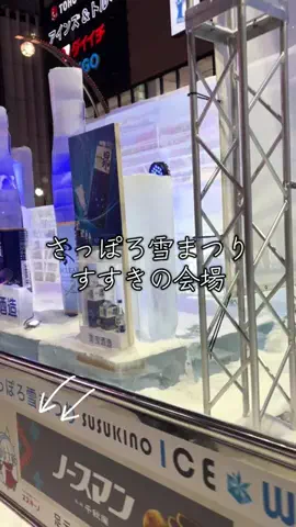 みーなりーなのTikTok投稿