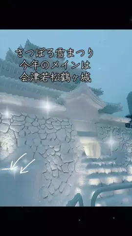 みーなりーなのTikTok投稿