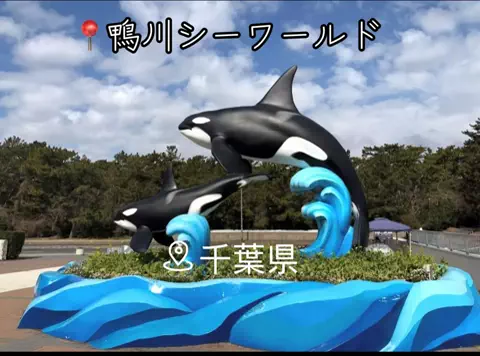 X Japanforever loveのTikTok投稿