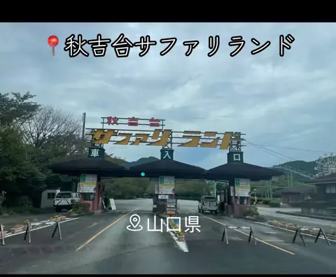 X Japanforever loveのTikTok投稿