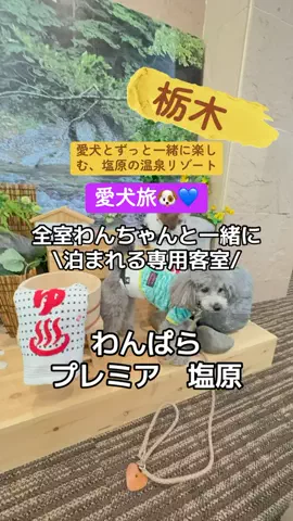 ラベちゃん🪻温泉旅♨️のTikTok投稿