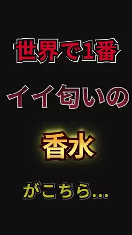 聖人君子のTikTok投稿