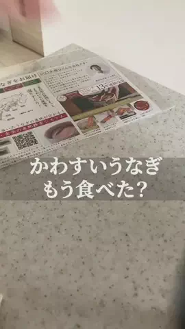 こっとんのTikTok PR投稿：#pr #スーパーSALE #TikTokShopこれ買い #うなぎ 